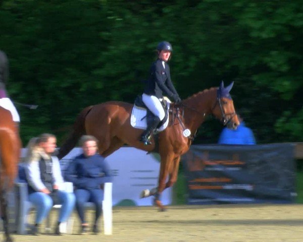 Reitturnier Wesel-Obrighoven 2024