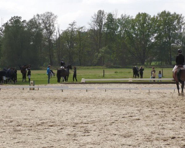 Reitturnier Gallinchen 2024