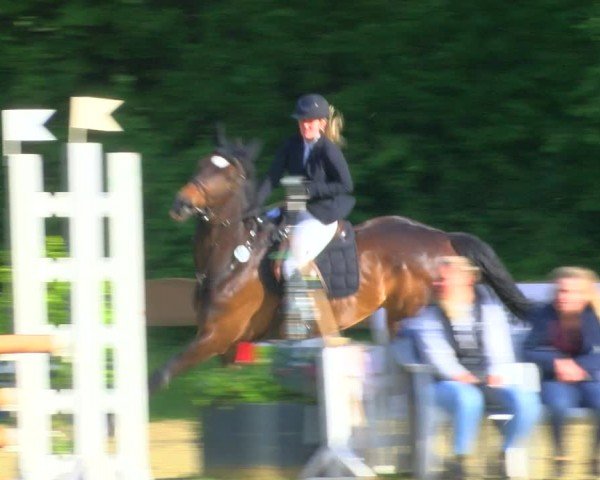 Reitturnier Wesel-Obrighoven 2024