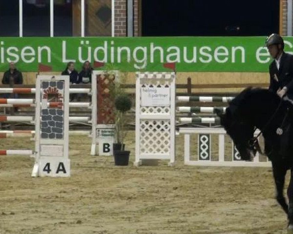 Rosendorf-Classics 2012