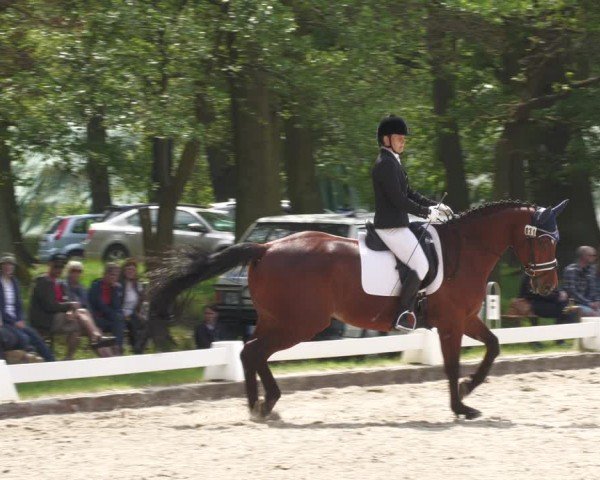 Reitturnier Gallinchen 2024