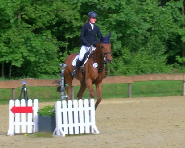 Reitturnier Wesel-Obrighoven 2024