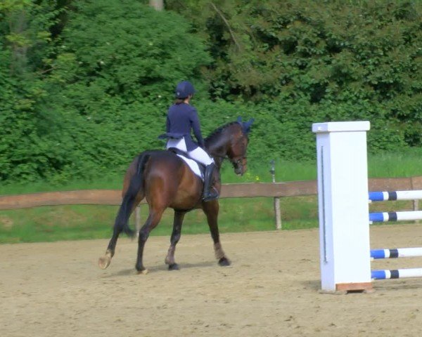 Reitturnier Wesel-Obrighoven 2024