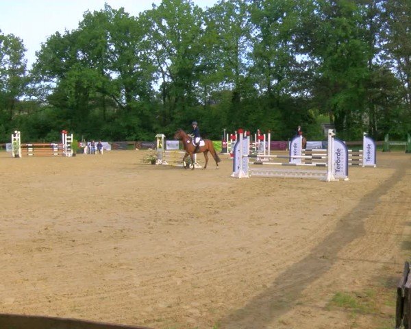 Reitturnier Wesel-Obrighoven 2024