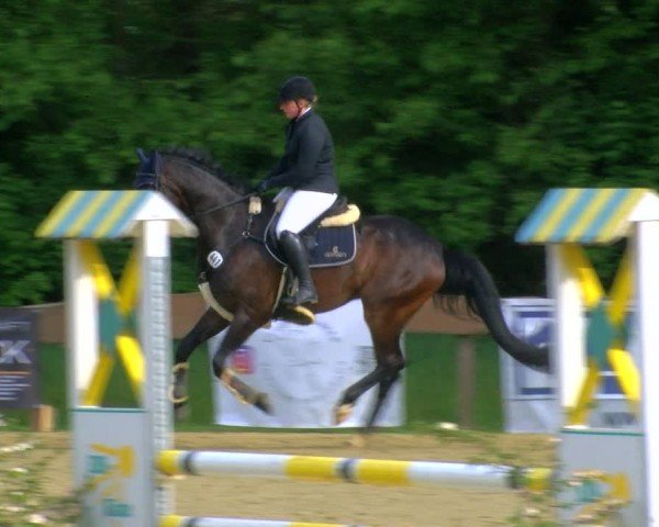 Reitturnier Wesel-Obrighoven 2024