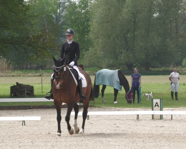 Reitturnier Gallinchen 2024