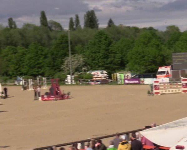 Reitturnier Kamen 2024