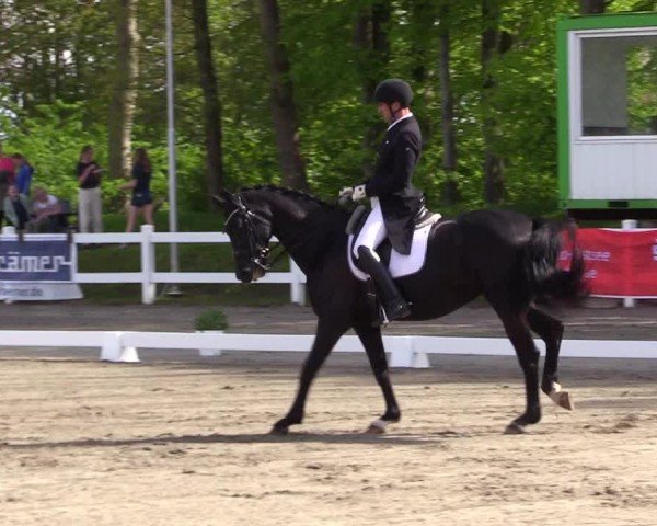 Reitturnier Dressurturnier Mildstedt 2024