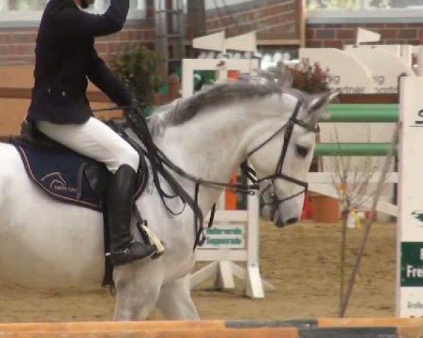 Rosendorf-Classics 2012