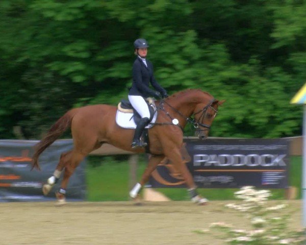 Reitturnier Wesel-Obrighoven 2024