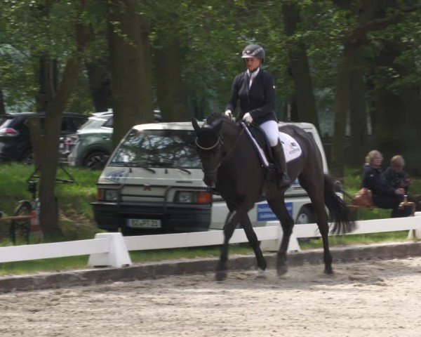 Reitturnier Gallinchen 2024