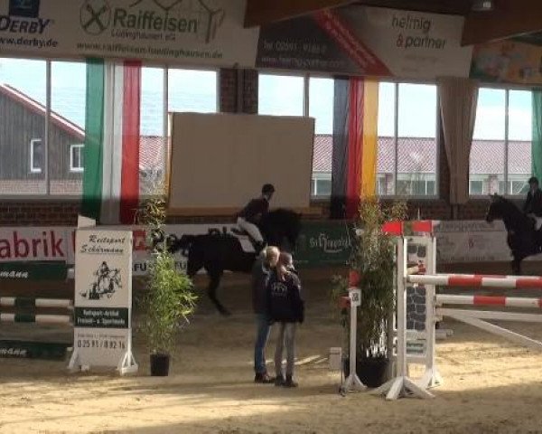 Rosendorf-Classics 2012