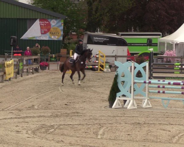 Reitturnier Looperholzer Turniertage 2024