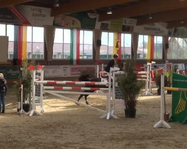 Rosendorf-Classics 2012