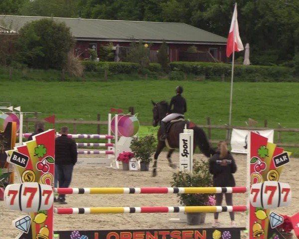 Reitturnier Looperholzer Turniertage 2024