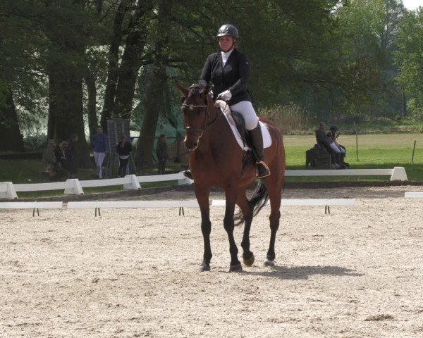 Reitturnier Gallinchen 2024