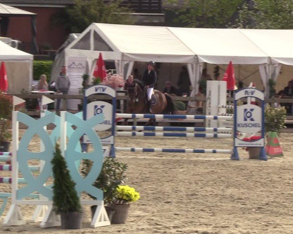 Reitturnier Looperholzer Turniertage 2024