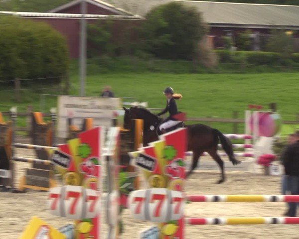 Reitturnier Looperholzer Turniertage 2024