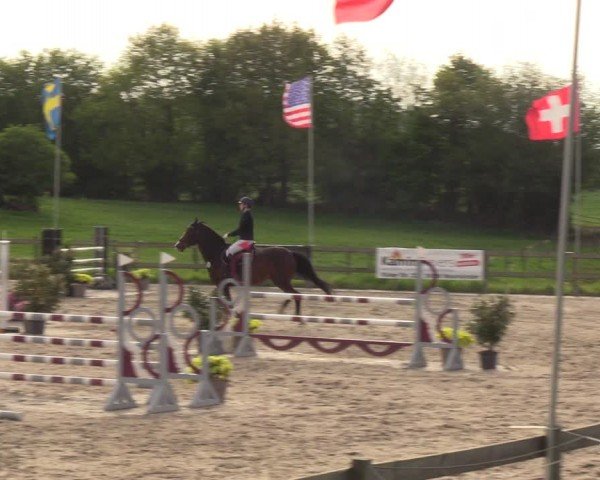 Reitturnier Looperholzer Turniertage 2024