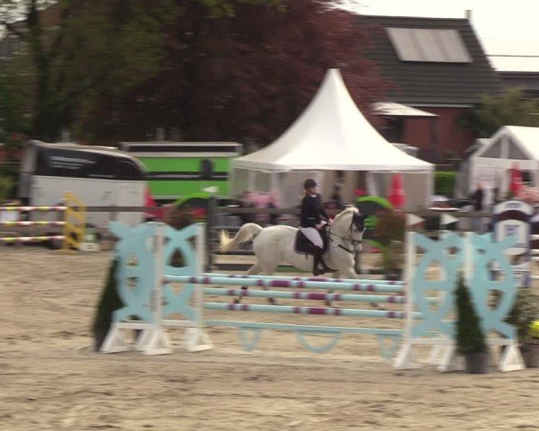 Reitturnier Looperholzer Turniertage 2024