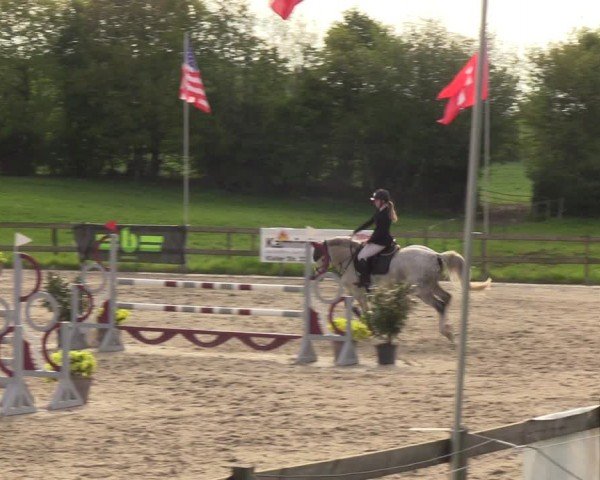 Reitturnier Looperholzer Turniertage 2024