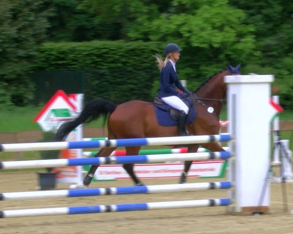 Reitturnier Wesel-Obrighoven 2024