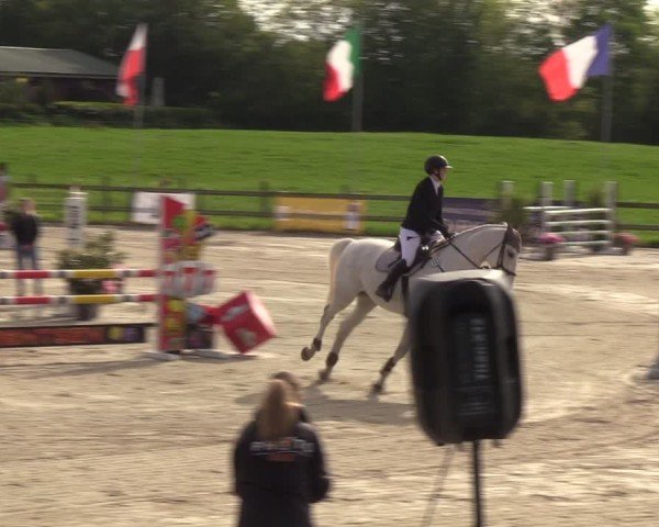 Reitturnier Looperholzer Turniertage 2024
