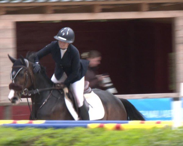 Reitturnier Wuppertal-Gelpe 2024