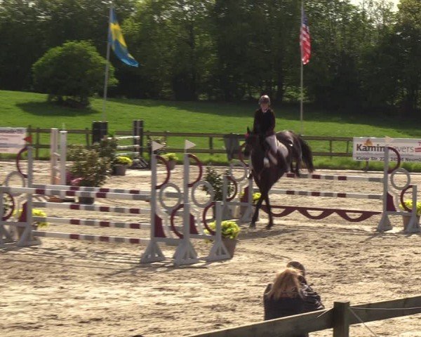 Reitturnier Looperholzer Turniertage 2024