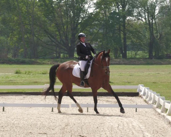Reitturnier Gallinchen 2024