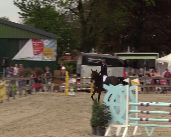 Reitturnier Looperholzer Turniertage 2024
