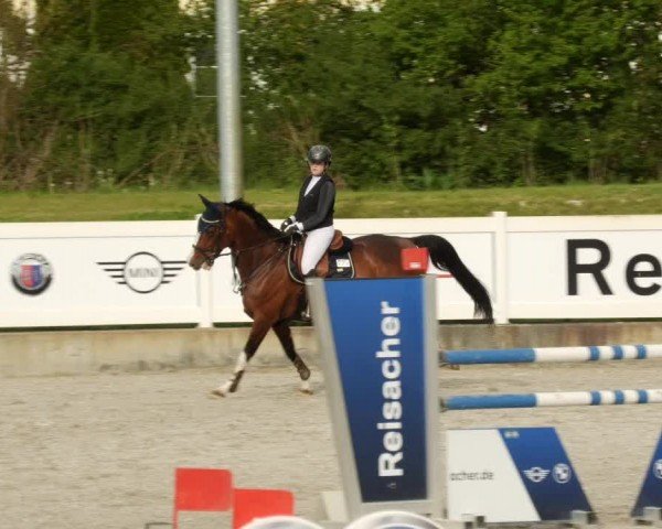 Reitturnier Babenhausen/Schw. 2024