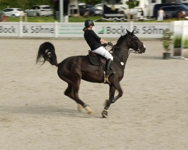 Reitturnier Babenhausen/Schw. 2024