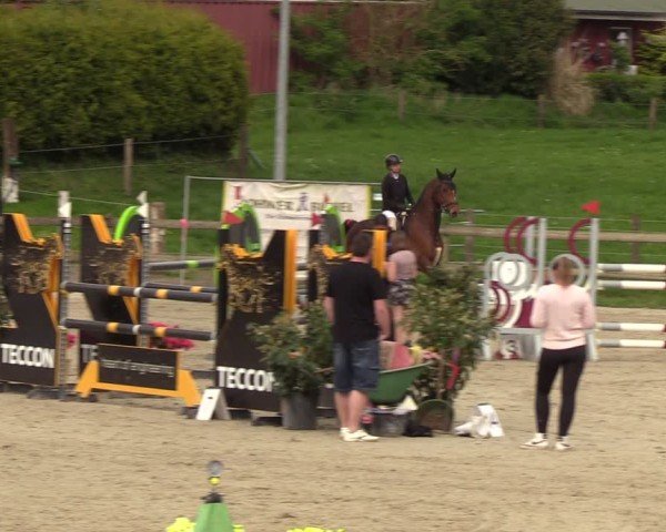 Reitturnier Looperholzer Turniertage 2024