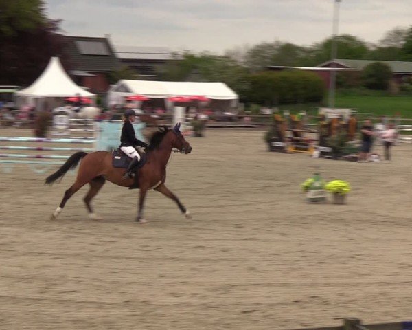 Reitturnier Looperholzer Turniertage 2024