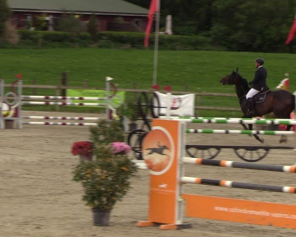 Reitturnier Looperholzer Turniertage 2024