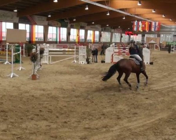 Rosendorf-Classics 2012