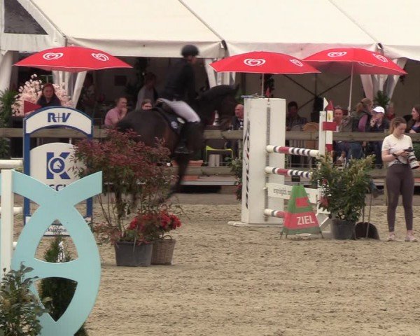 Reitturnier Looperholzer Turniertage 2024