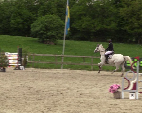 Reitturnier Looperholzer Turniertage 2024