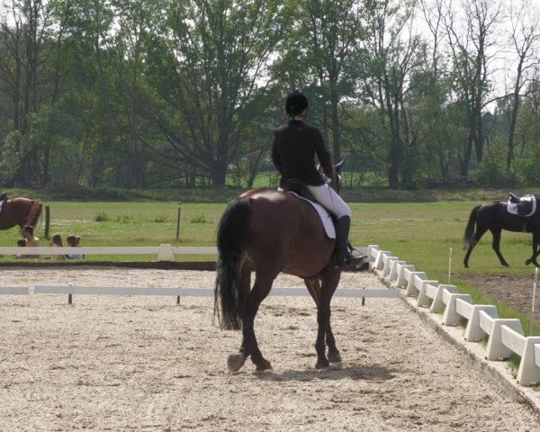 Reitturnier Gallinchen 2024