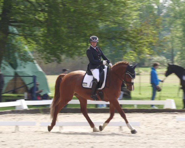 Reitturnier Gallinchen 2024
