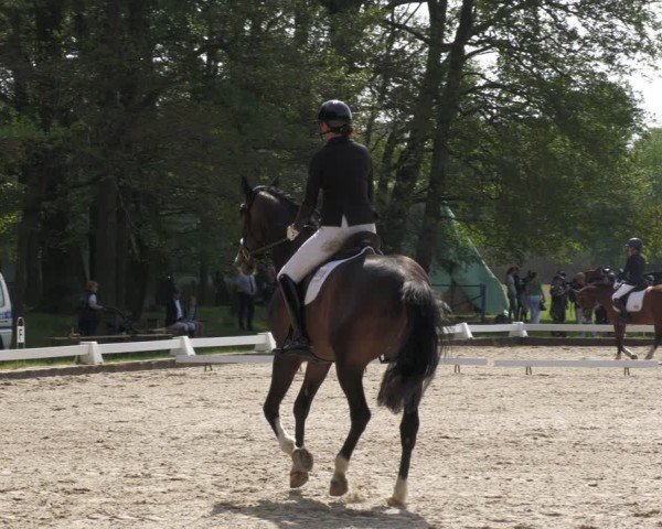 Reitturnier Gallinchen 2024