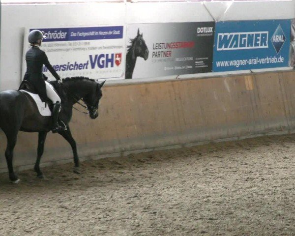Reitturnier Hildesheim-Steuerwald 2024