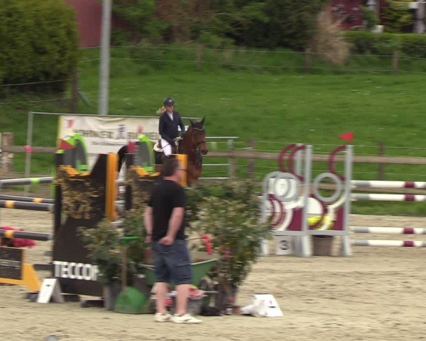 Reitturnier Looperholzer Turniertage 2024