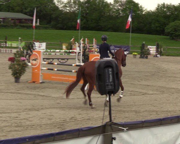 Reitturnier Looperholzer Turniertage 2024