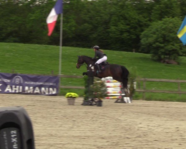 Reitturnier Looperholzer Turniertage 2024