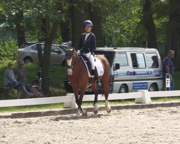 Reitturnier Gallinchen 2024
