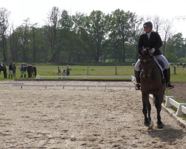 Reitturnier Gallinchen 2024