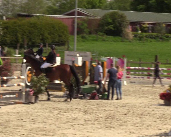 Reitturnier Looperholzer Turniertage 2024
