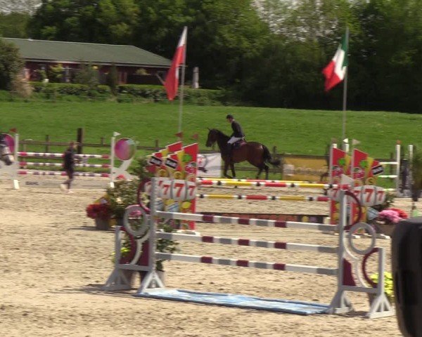 Reitturnier Looperholzer Turniertage 2024